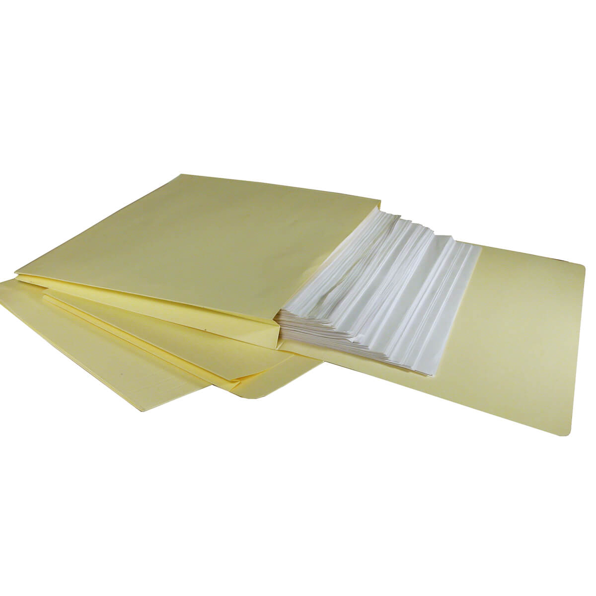 Archival Expanding File Folders TALAS