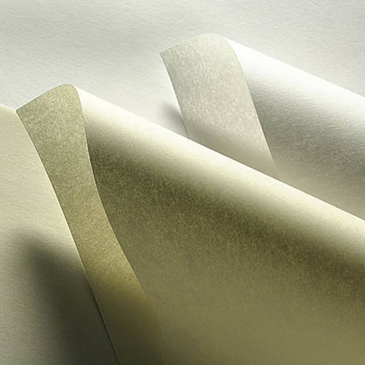 Goldbeater's Skin TALAS