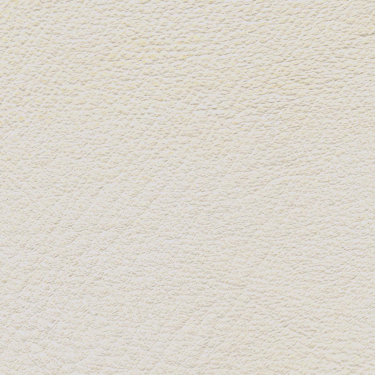 Goldbeater's Skin TALAS