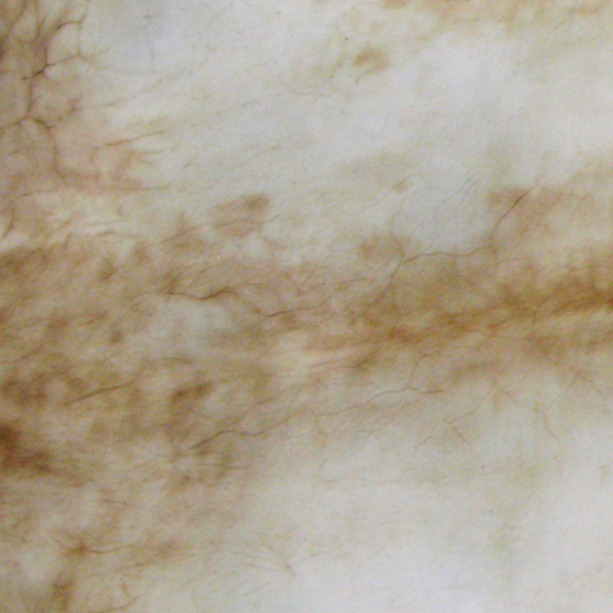 Cowley's Calfskin Vellum and Parchment TALAS