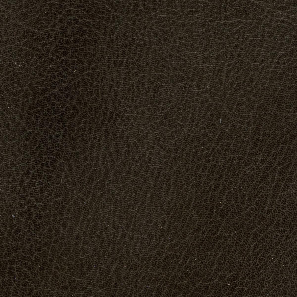 Leather Mold and Mildrew Protector TALAS