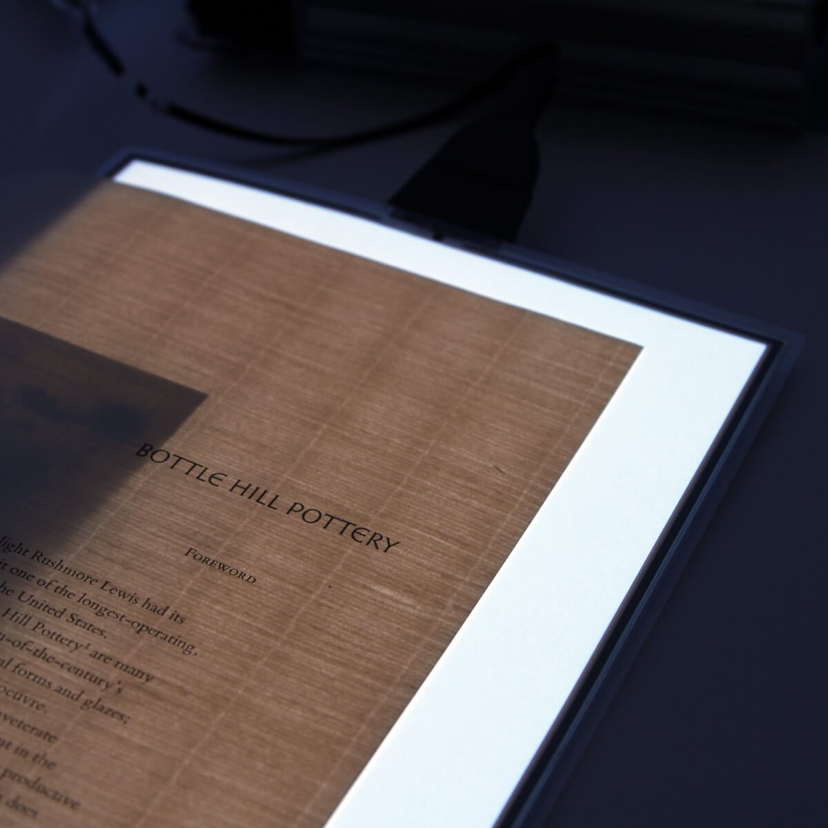 CeeLite Flexible Light Sheets TALAS