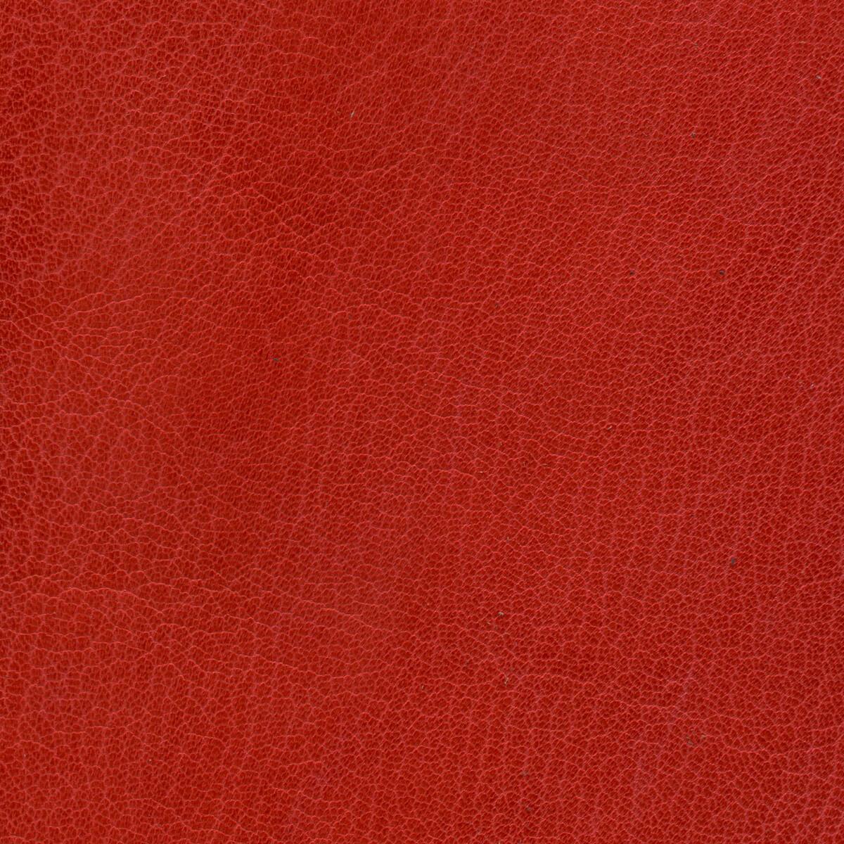 Russell's Oasis Goatskin Bookbinding Leather TALAS