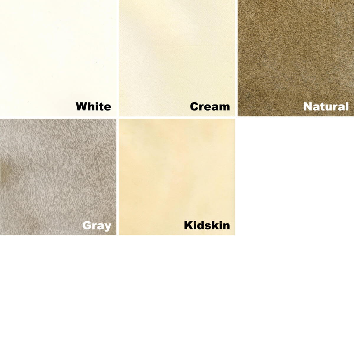 South American Genuine Parchment & Vellum Skins TALAS