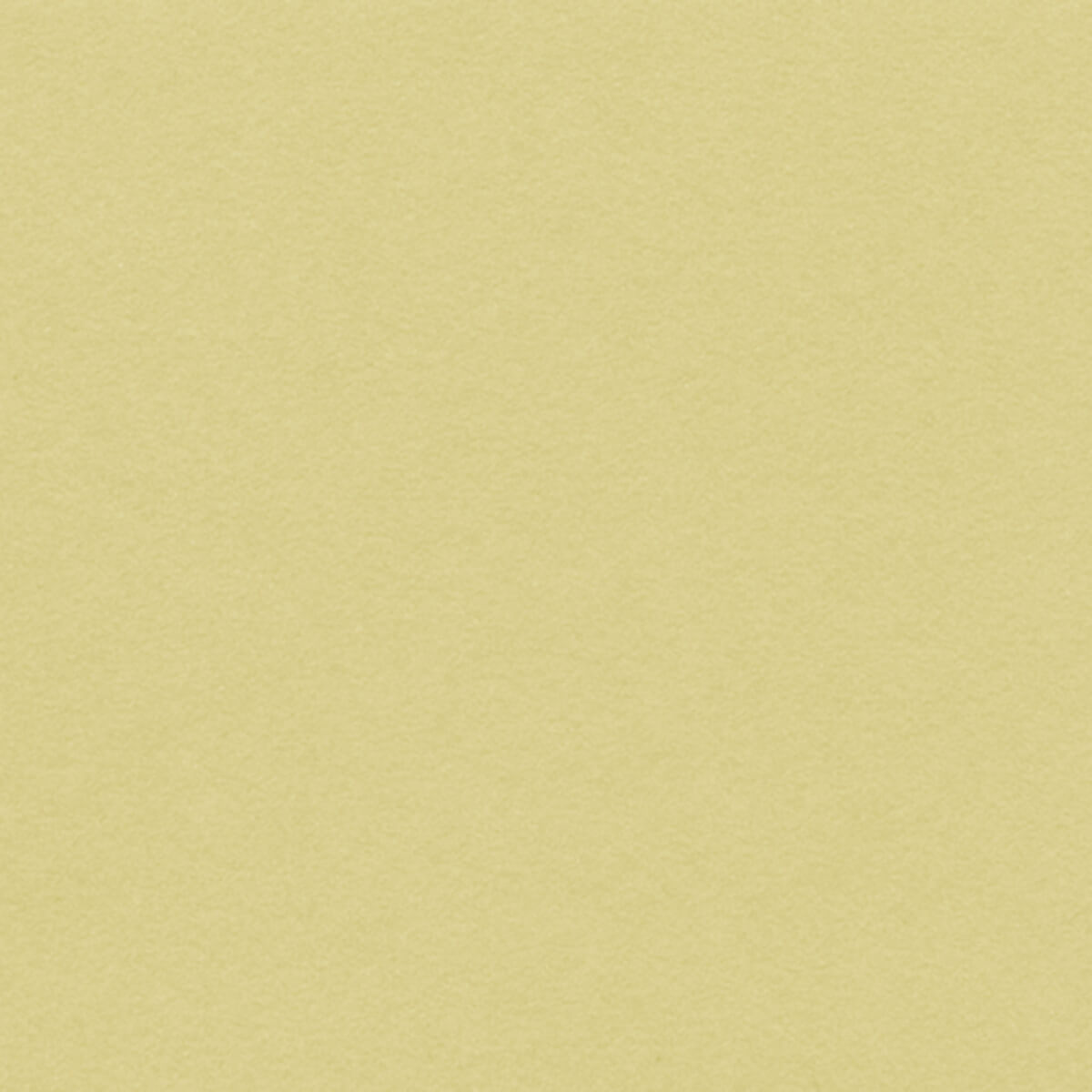 Hahnemuhle Velour Premium Pastel Paper TALAS