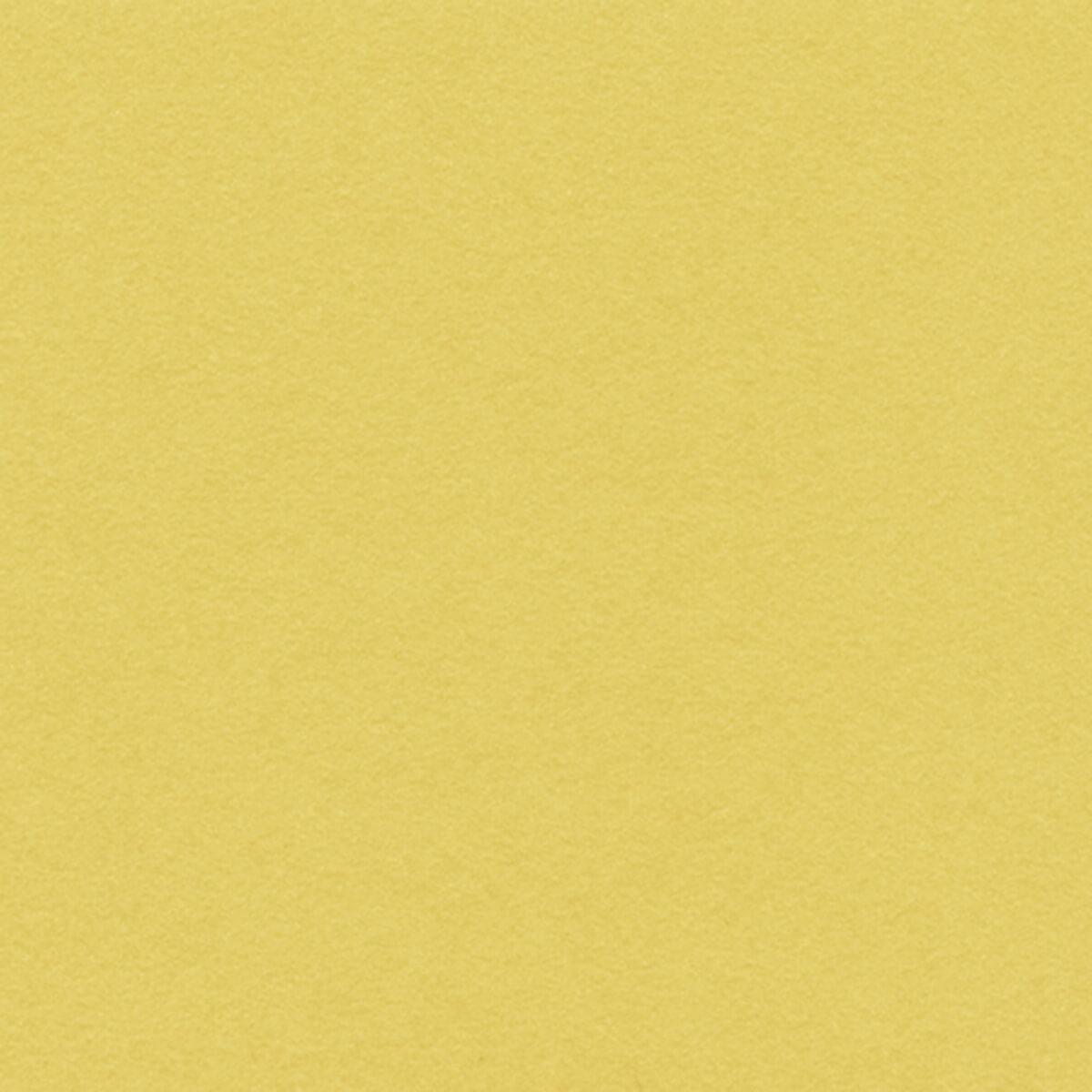 Hahnemuhle Velour Premium Pastel Paper TALAS